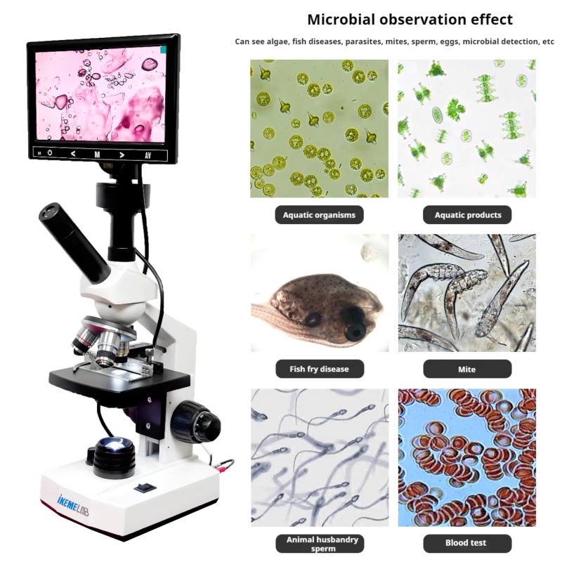 WEIAI 7 inches Digital Microsc - Digital Microscope recension och pris