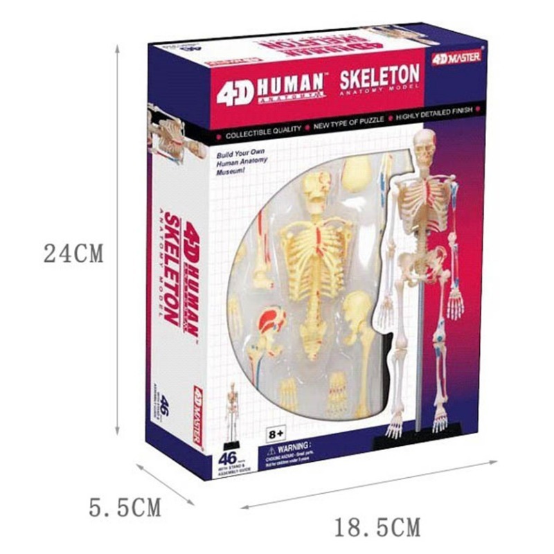 4D Master Human Skeleton Anato - Medical Lab And Science recension och pris